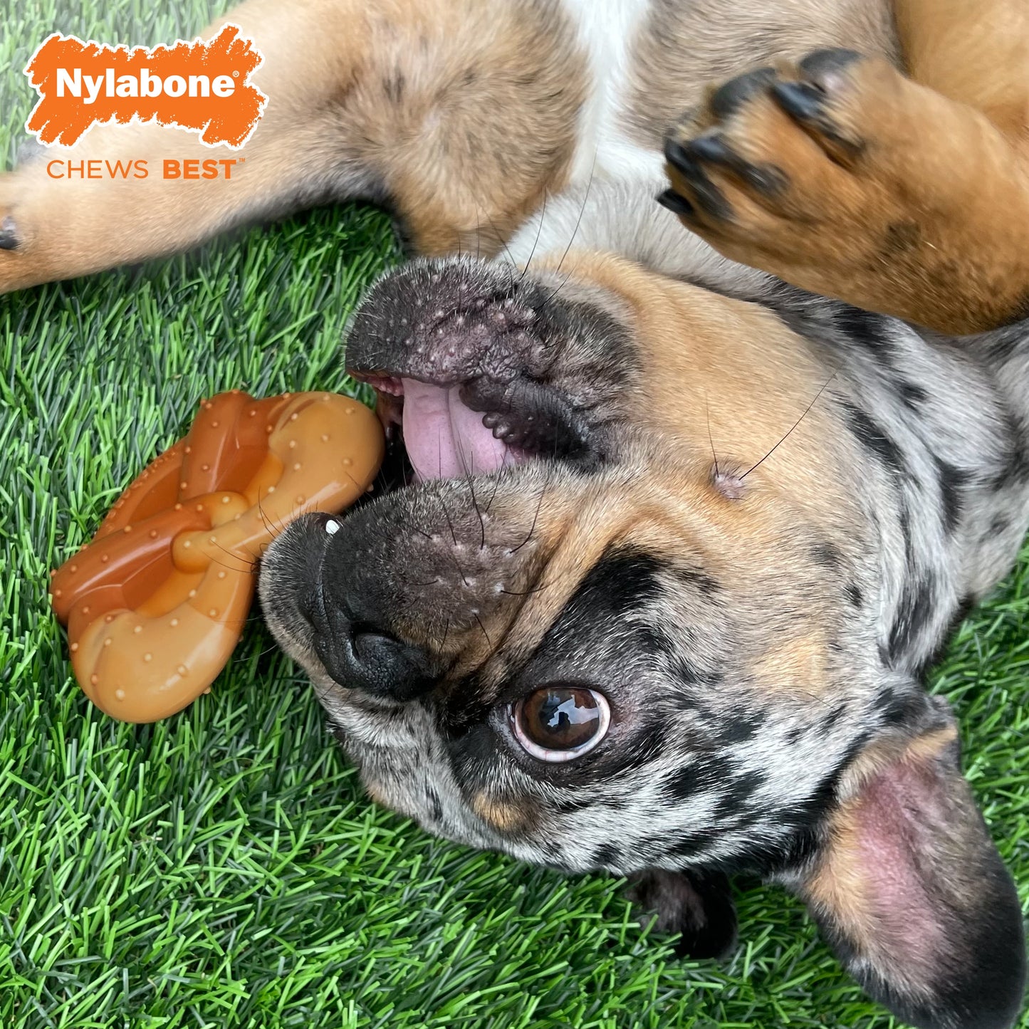 Nylabone Bacon & Peanut Butter Pretzel Extreme Chew Dog Toy Medium