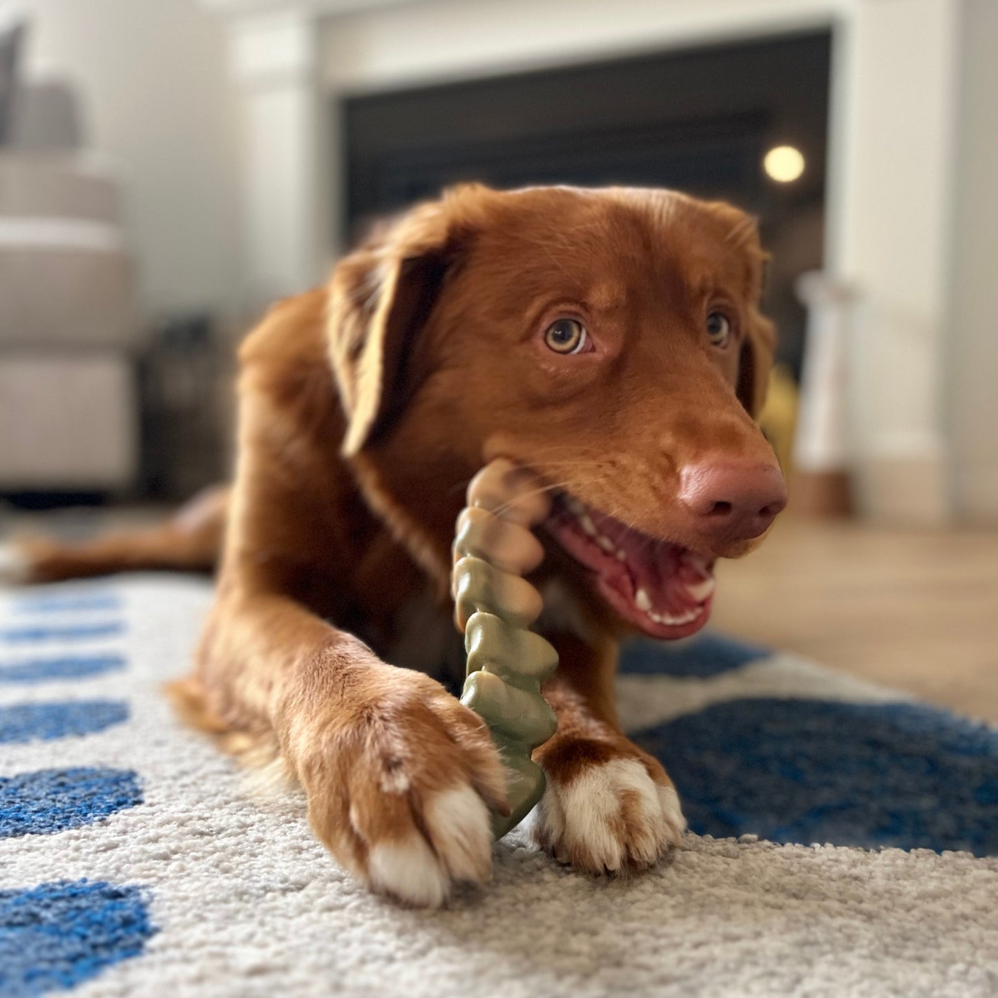 Nylabone Chicken Gator Tail Alternative Extreme Chew Dog Toy Large
