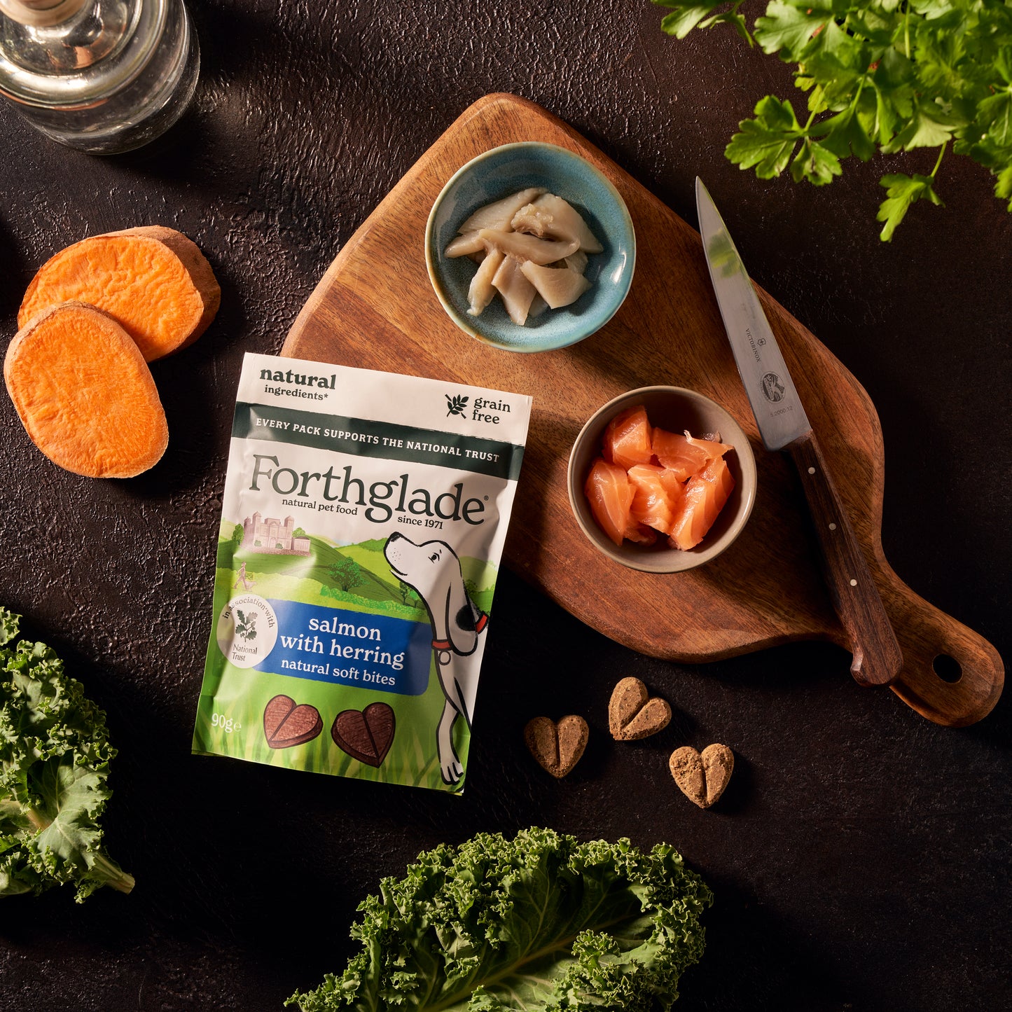 Forthglade National Trust Salmon & Herring Dog Treats 90g