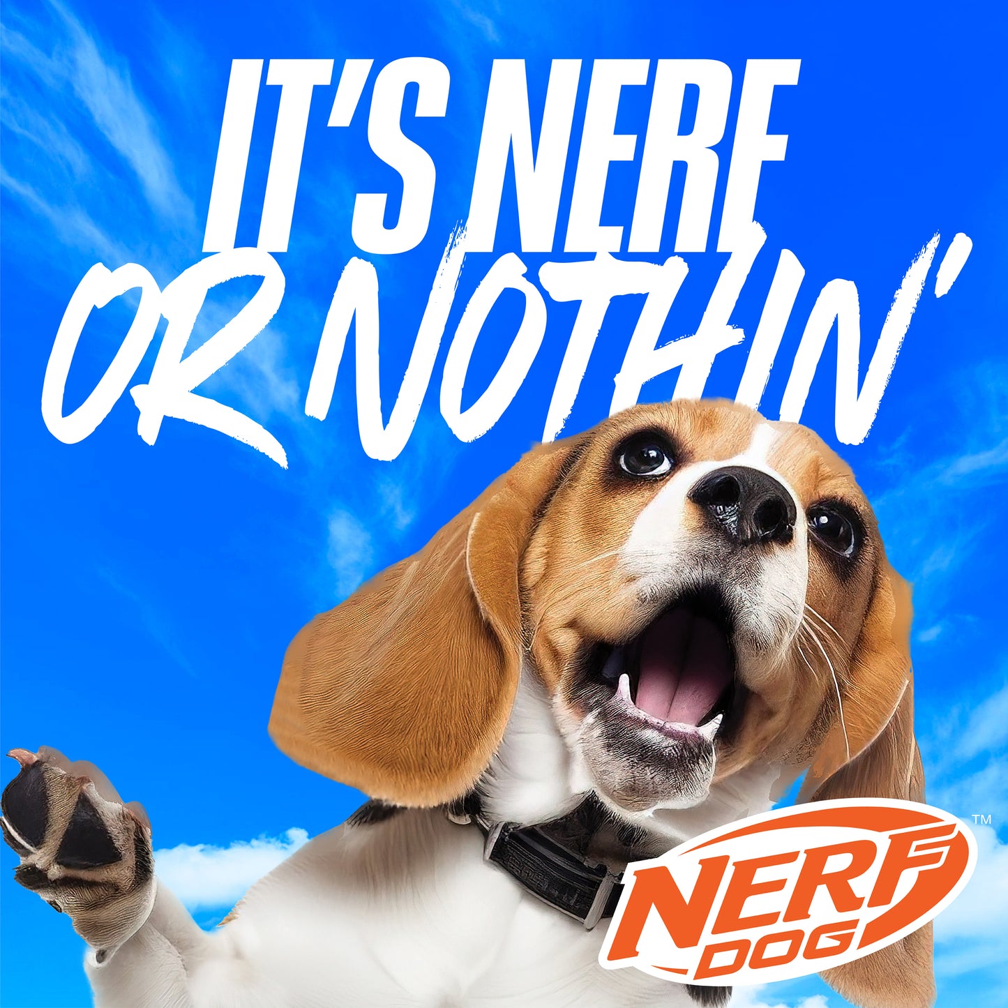 Nerf Colour Grip AirTuff Football Squeak Ball Dog Toy