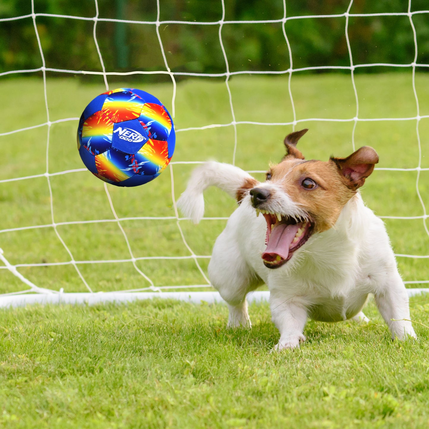 Nerf Colour Grip AirTuff Football Squeak Ball Dog Toy