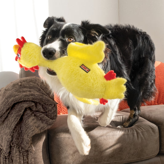 KONG Scruffs Chicken Squeaky Plush Dog Toy