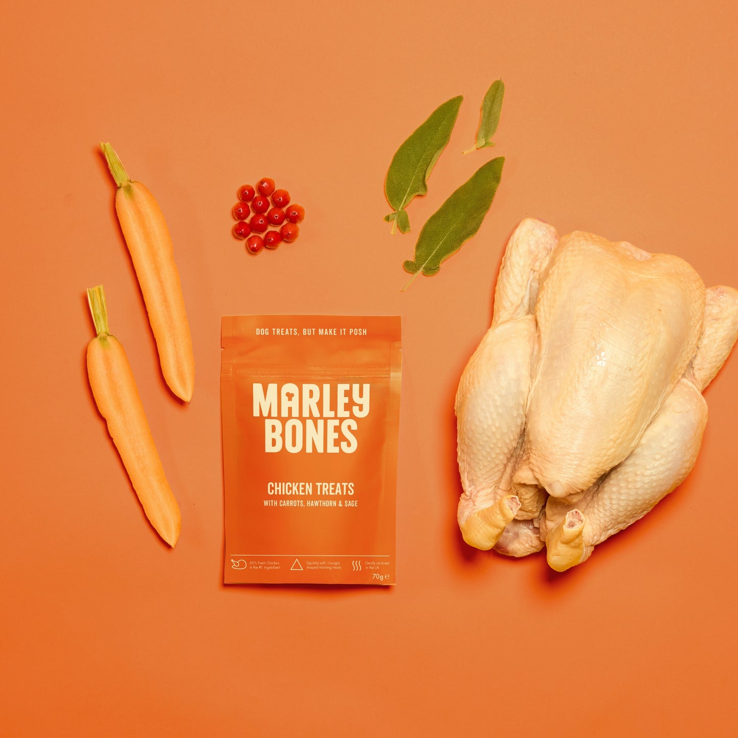 Marleybones Air-Dried Dog Treats Chicken & Superfoods 70g