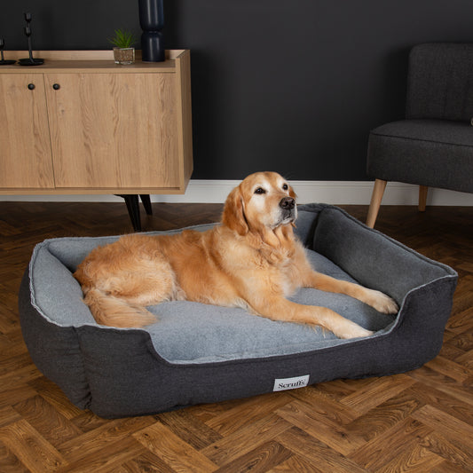 Scruffs Harvard Orthopaedic Box Dog Bed Graphite Grey