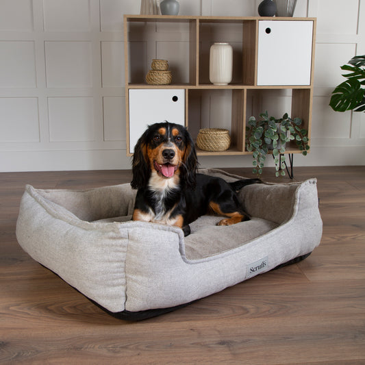 Scruffs Harvard Orthopaedic Box Dog Bed Pearl Grey