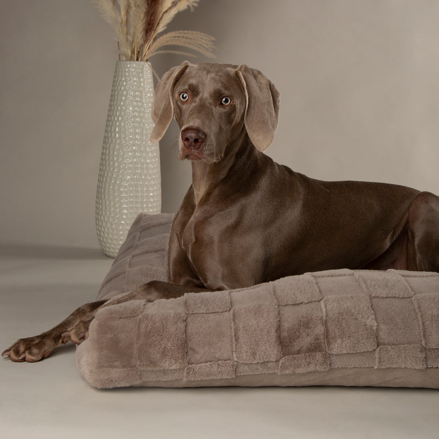 Scruffs Oxford Mattress Dog Bed Silver Taupe