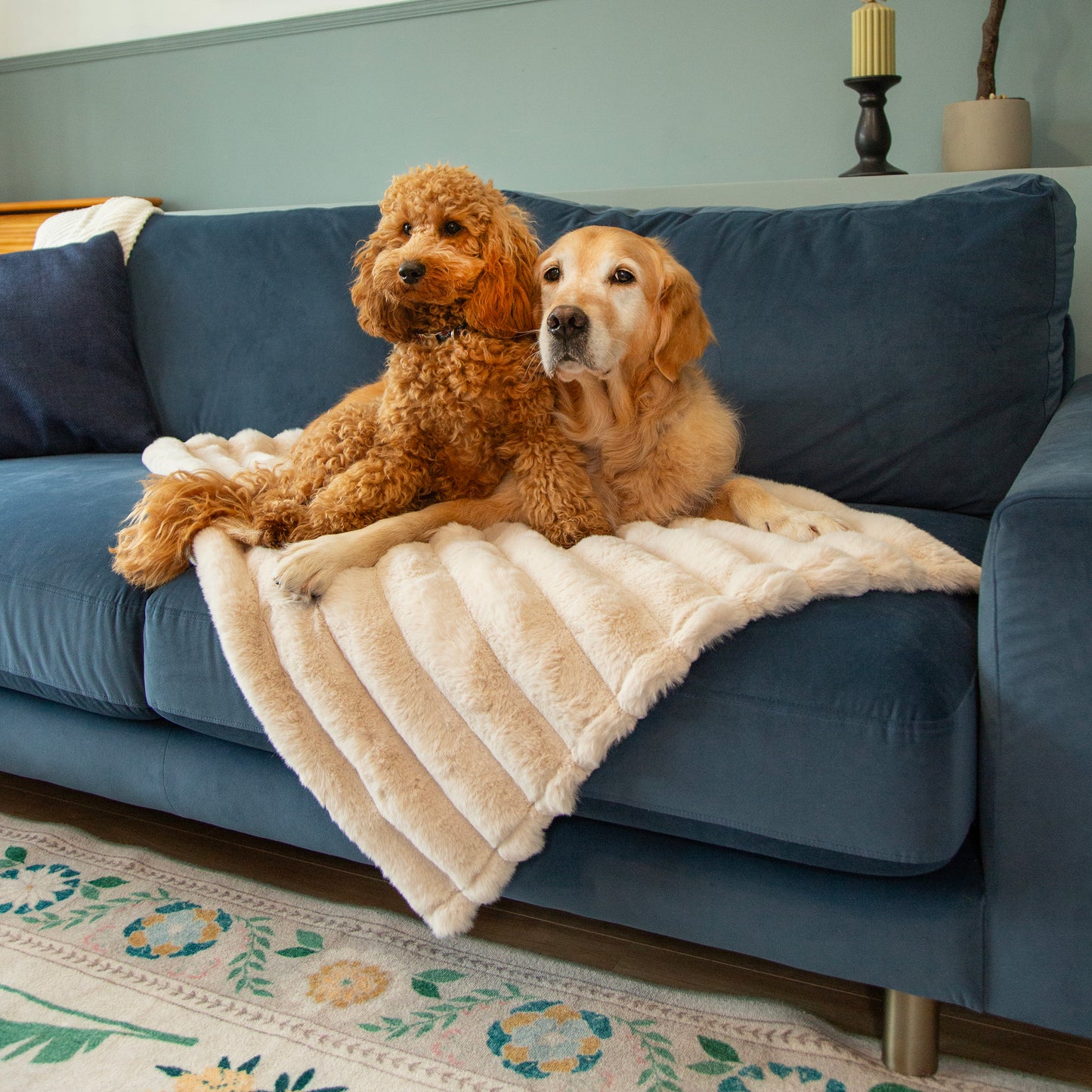 Scruffs Aspen Pet Blanket Cream