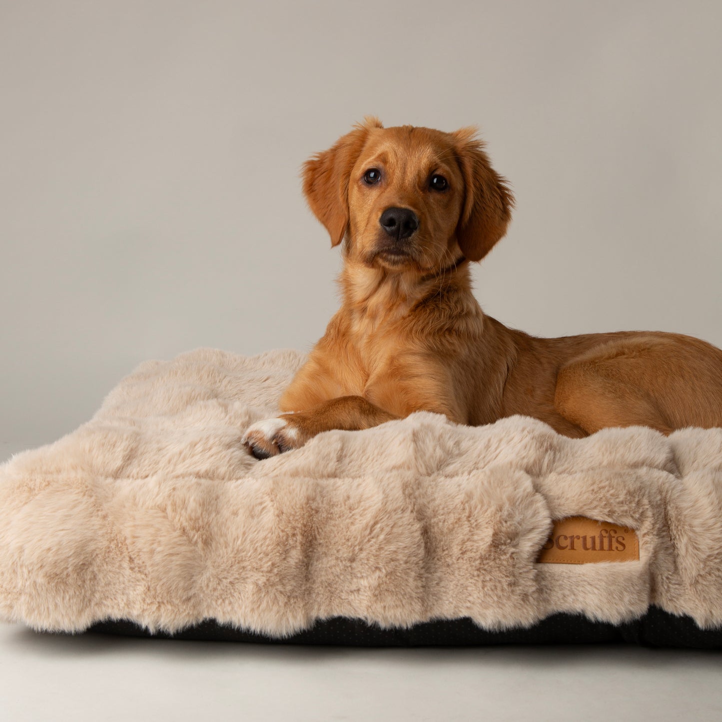 Scruffs Alpine Mattress Dog Bed Neutral