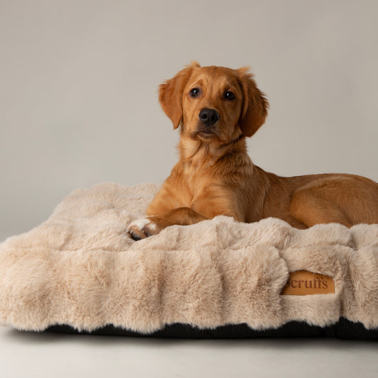 Scruffs Alpine Mattress Dog Bed Neutral