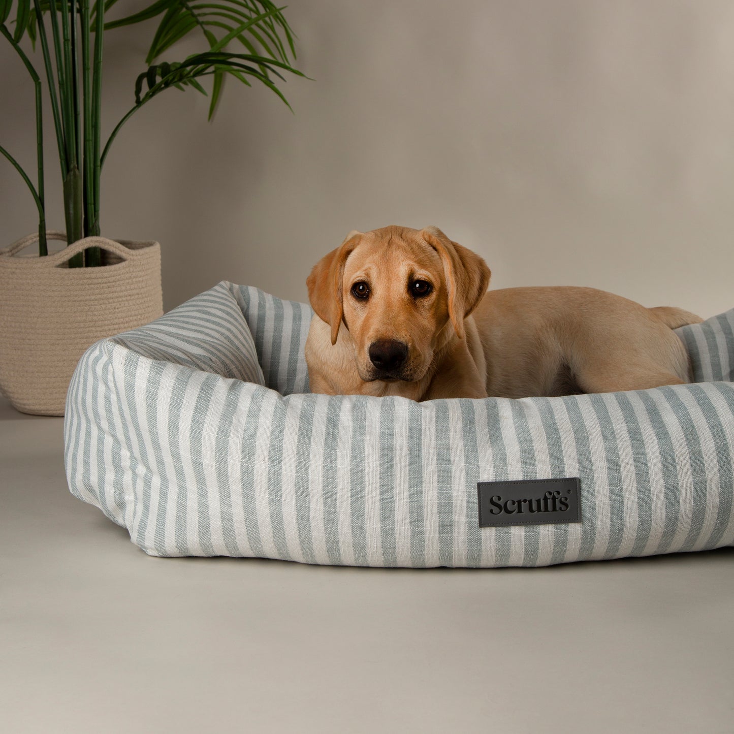 Scruffs Coastal Box Dog Bed Green