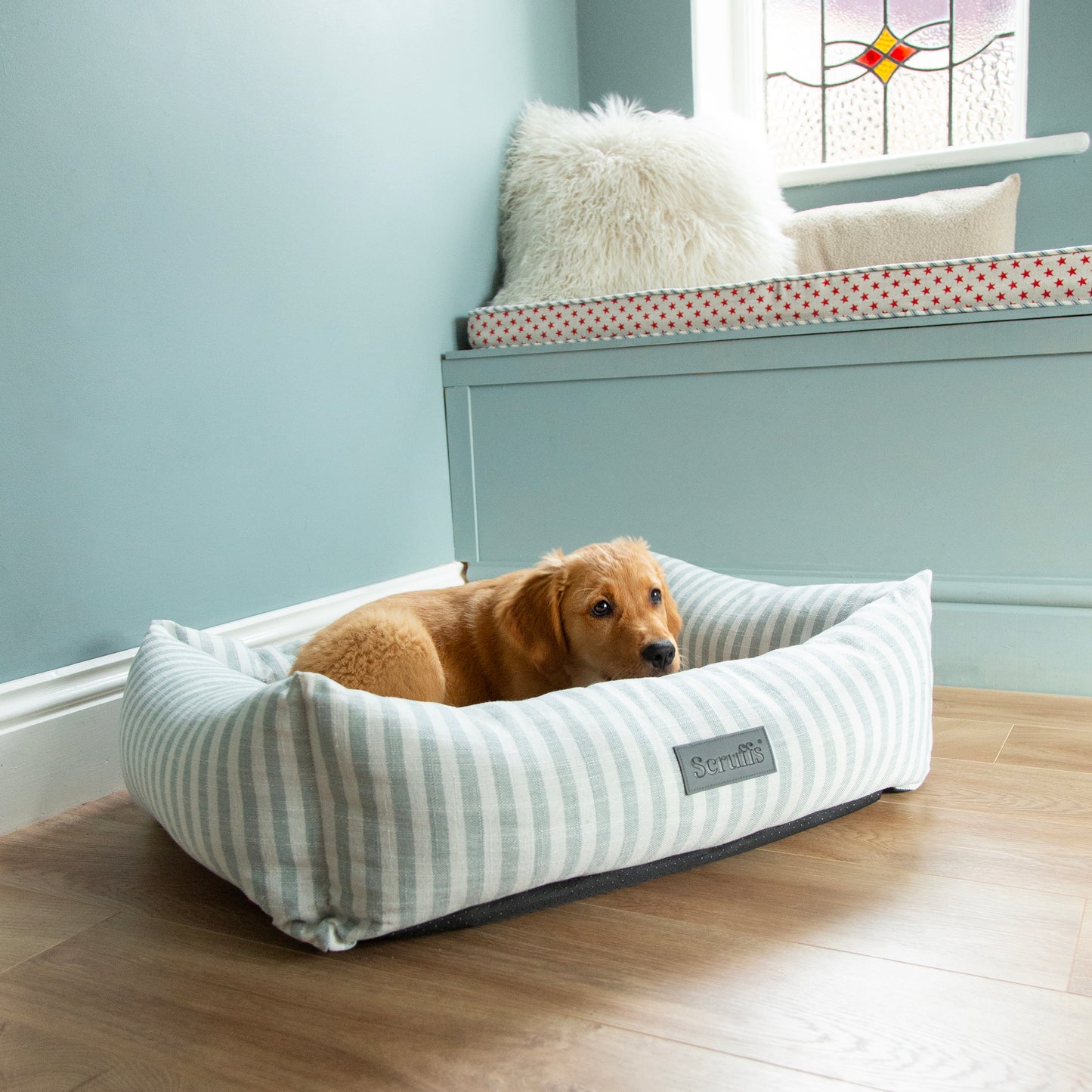 Scruffs Coastal Box Dog Bed Green