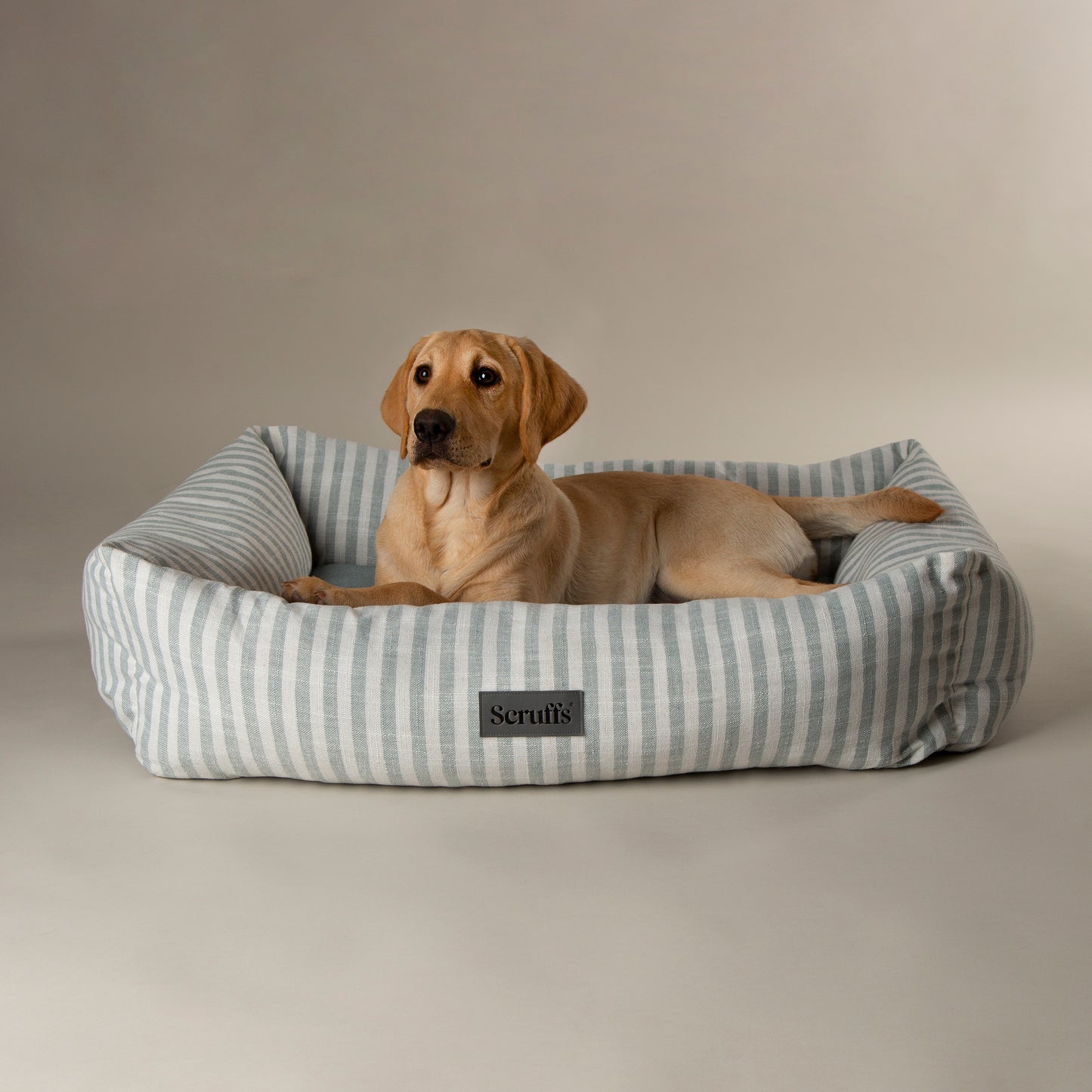 Scruffs Coastal Box Dog Bed Green