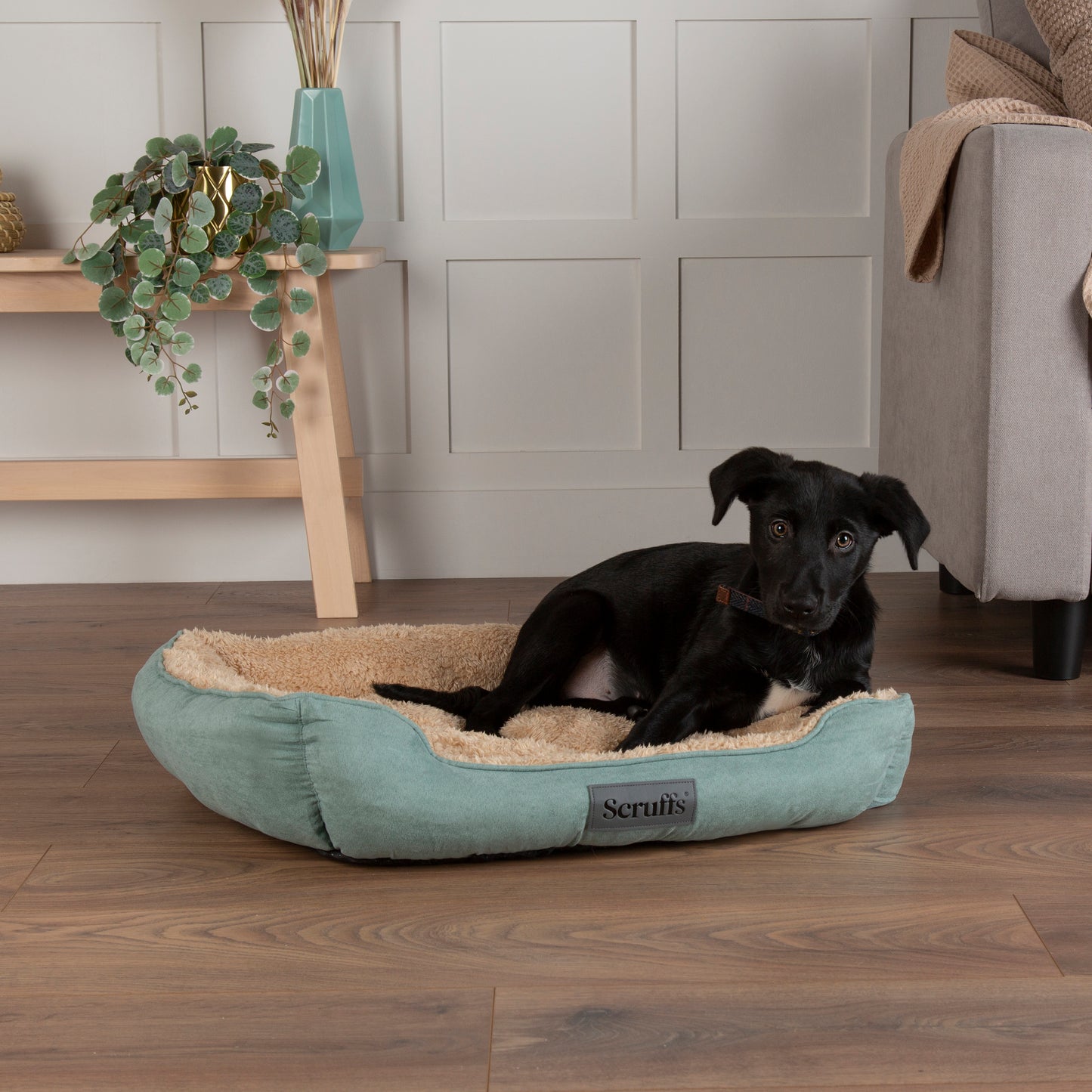 Scruffs Cosy Box Dog Bed Sage Green