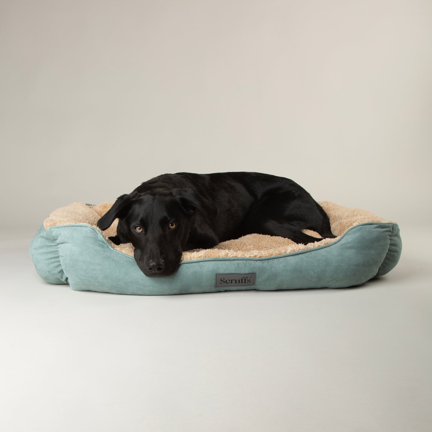 Scruffs Cosy Box Dog Bed Sage Green