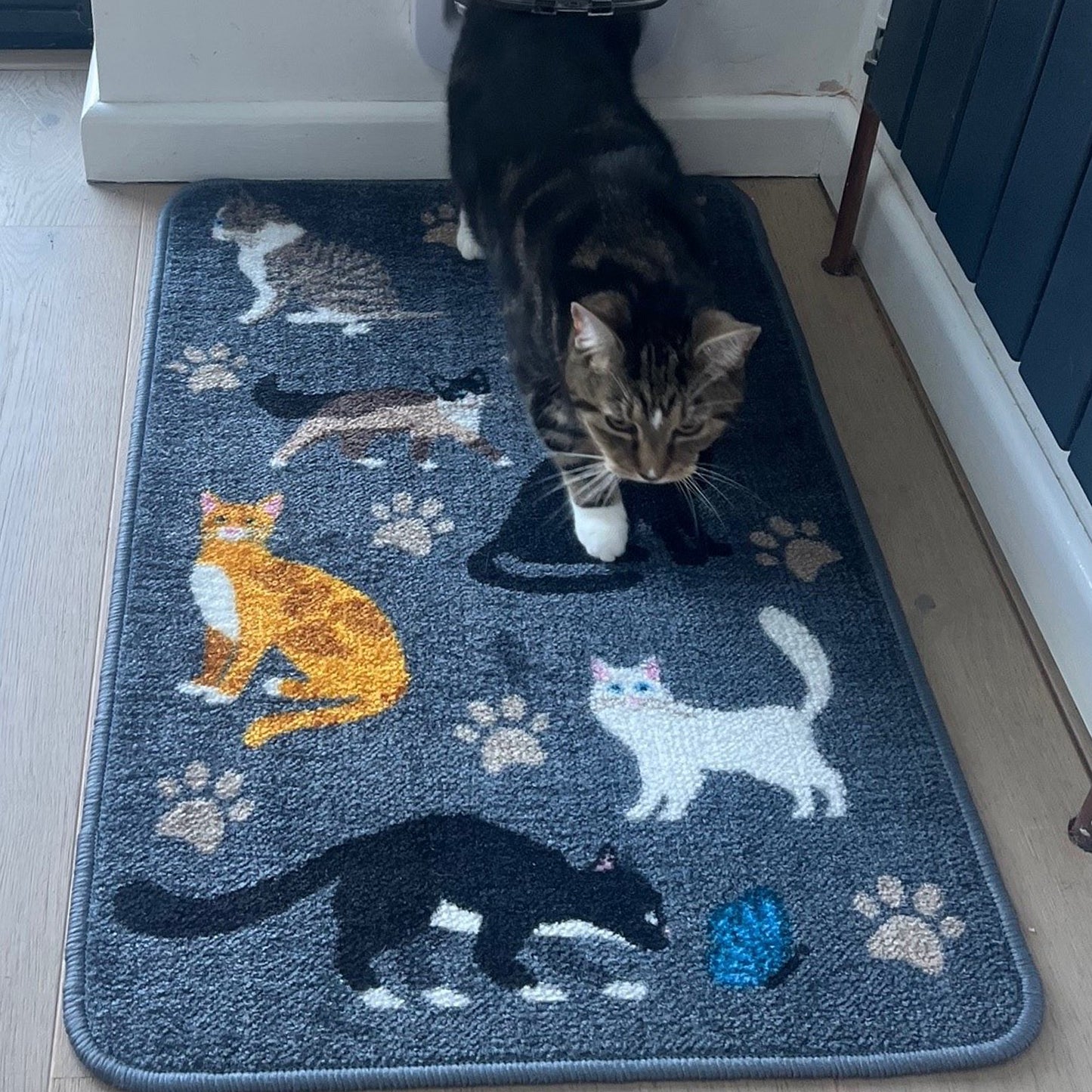 Pet Rebellion Multi Purpose Cat Mat