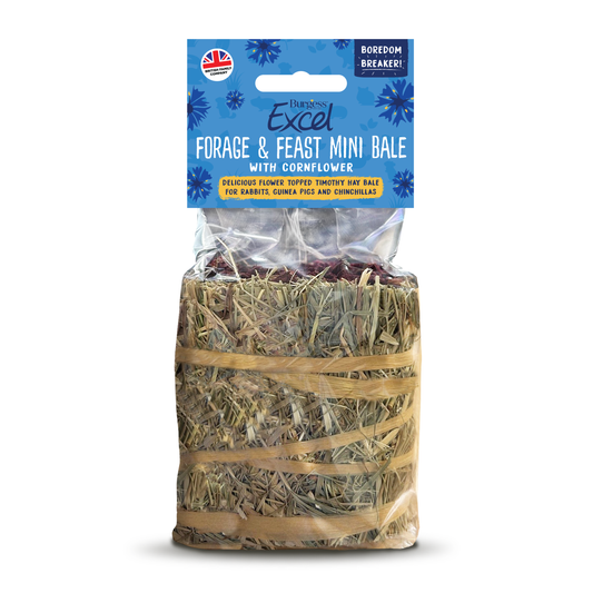 Burgess Excel Small Animal Treat Forage & Feast Mini Hay Bale Cornflower 100g