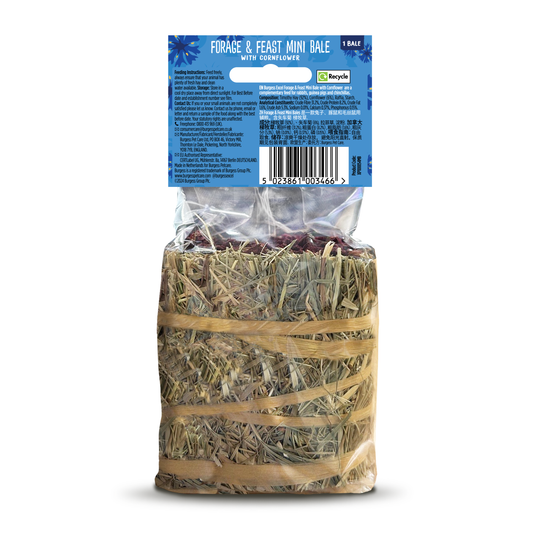 Burgess Excel Small Animal Treat Forage & Feast Mini Hay Bale Cornflower 100g