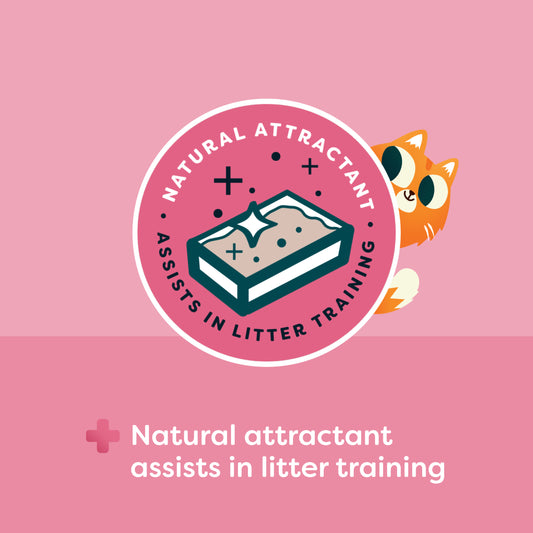 Breeder Celect Plus Kitten Paper Cat Litter