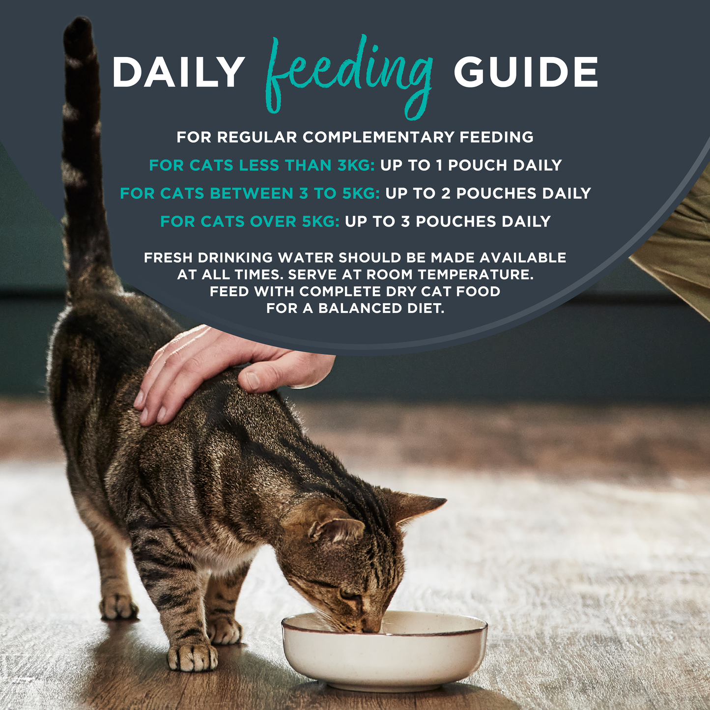 Encore Wet Adult Cat Food Natural Tuna With Crab in Broth