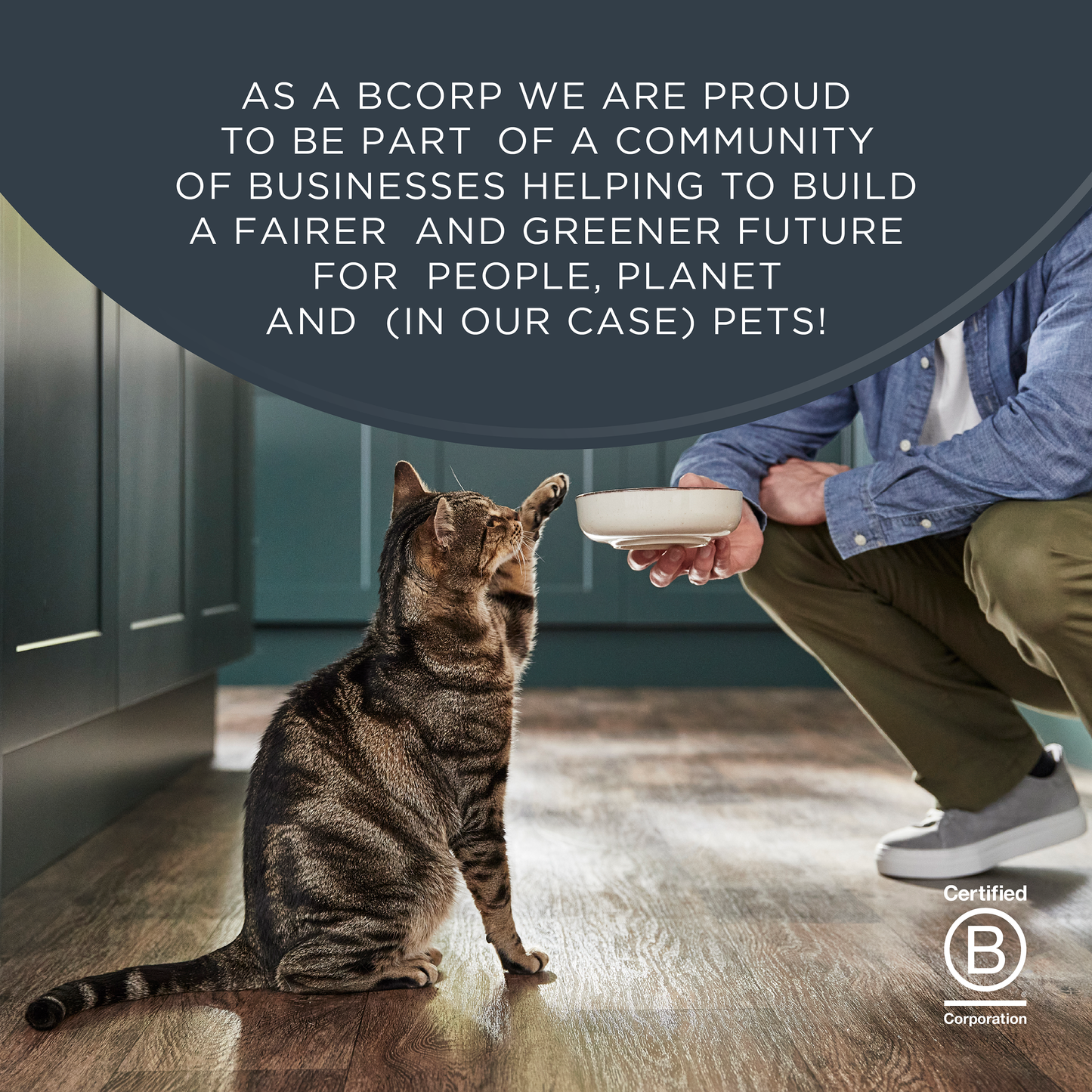 Encore Wet Adult Cat Food Natural Tuna With Crab in Broth