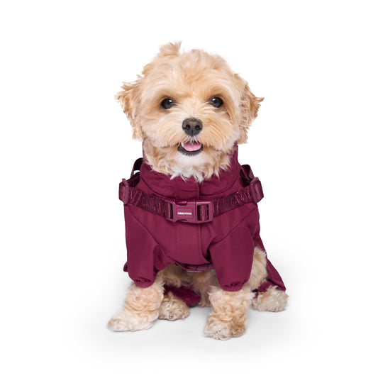 Canada Pooch Dog Snowsuit Harness Plum
