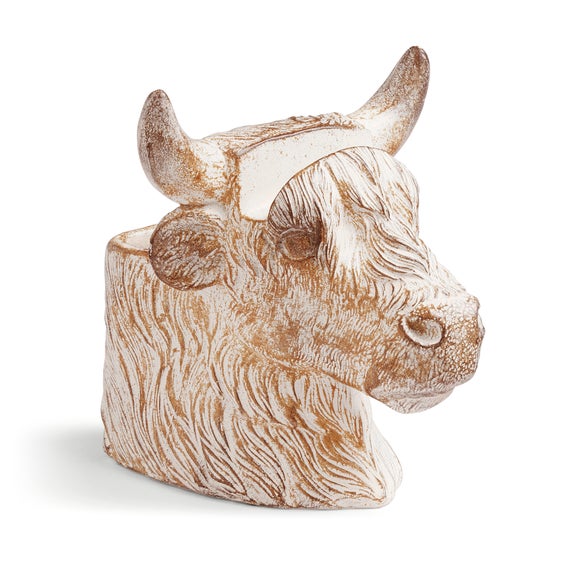 Highland Cow Glasses Holder & Pot