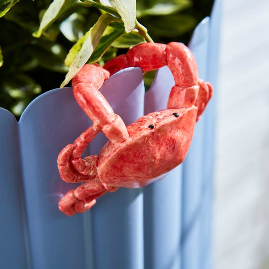 Crab Indoor Outdoor Pot Hanger