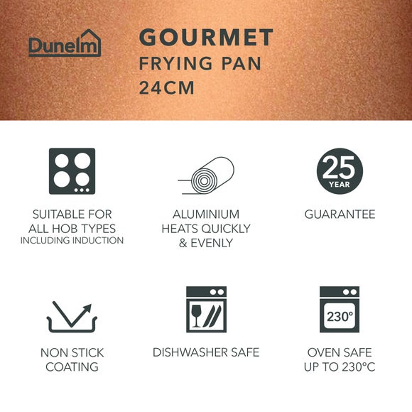 Gourmet 24cm Frying Pan