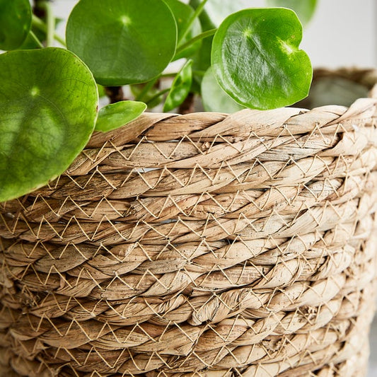 Set of 3 Woven Plant Pots