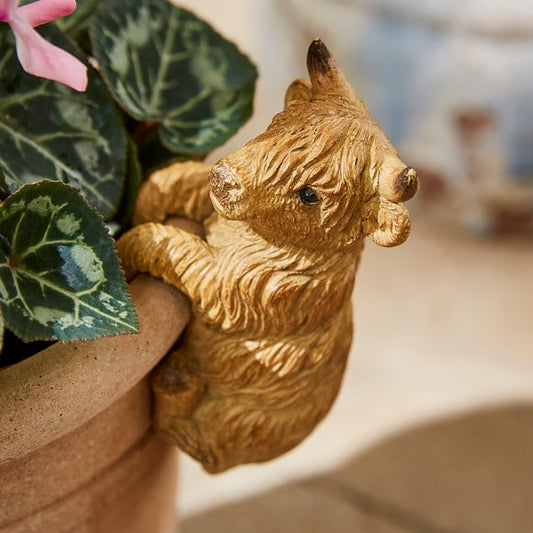 Highland Cow Resin Pot Hanger