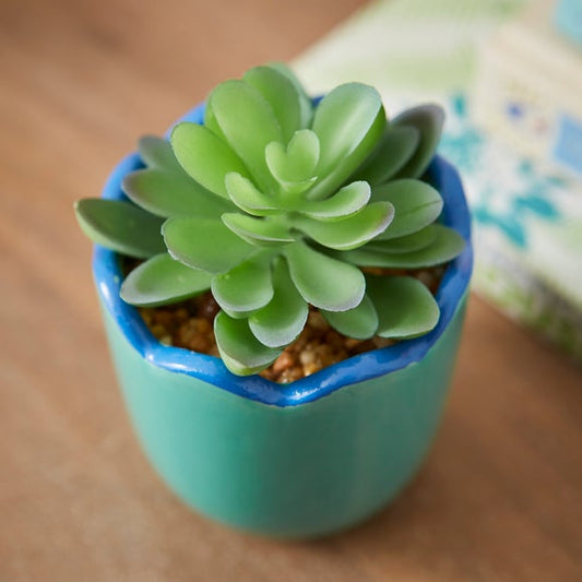 Artificial Succculent in Scalloped Ceramic Plant Pot