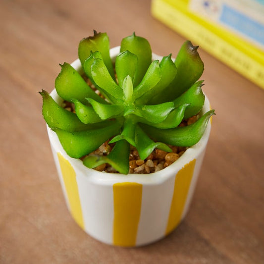 Artificial Succulent in Striped Ceramic Plant Pot