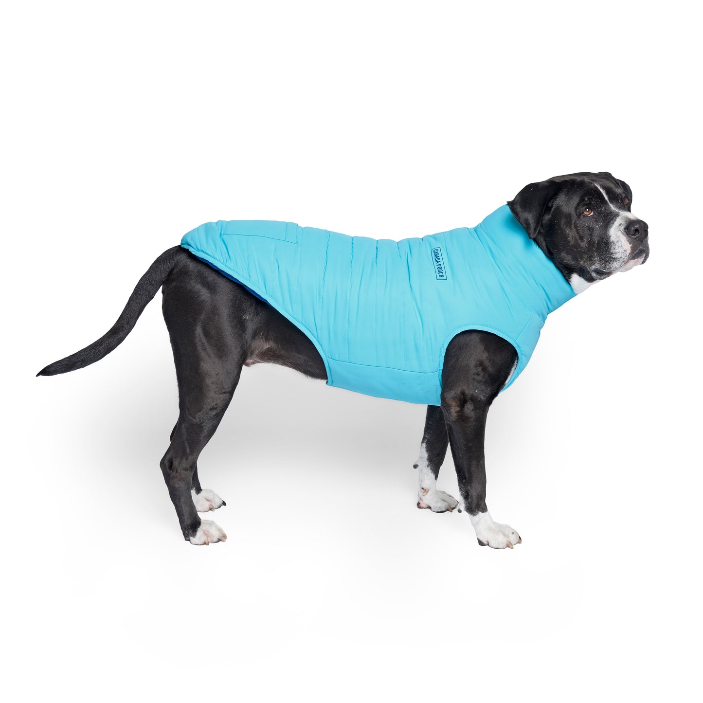 Canada Pooch Reversible Puffer Vest Dog Coat Blue/Teal