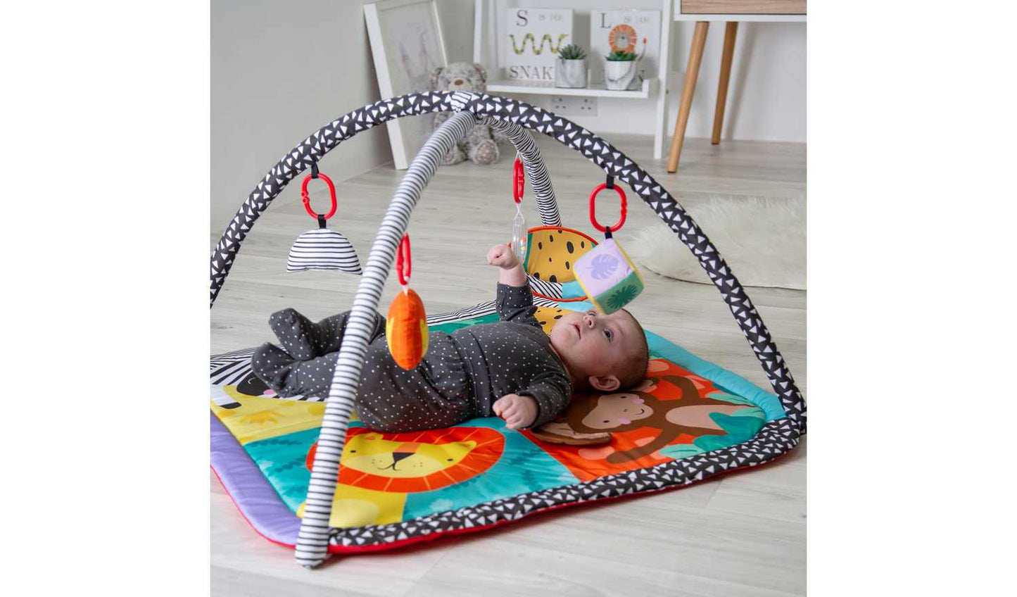 Red Kite Wild Safari Play Gym