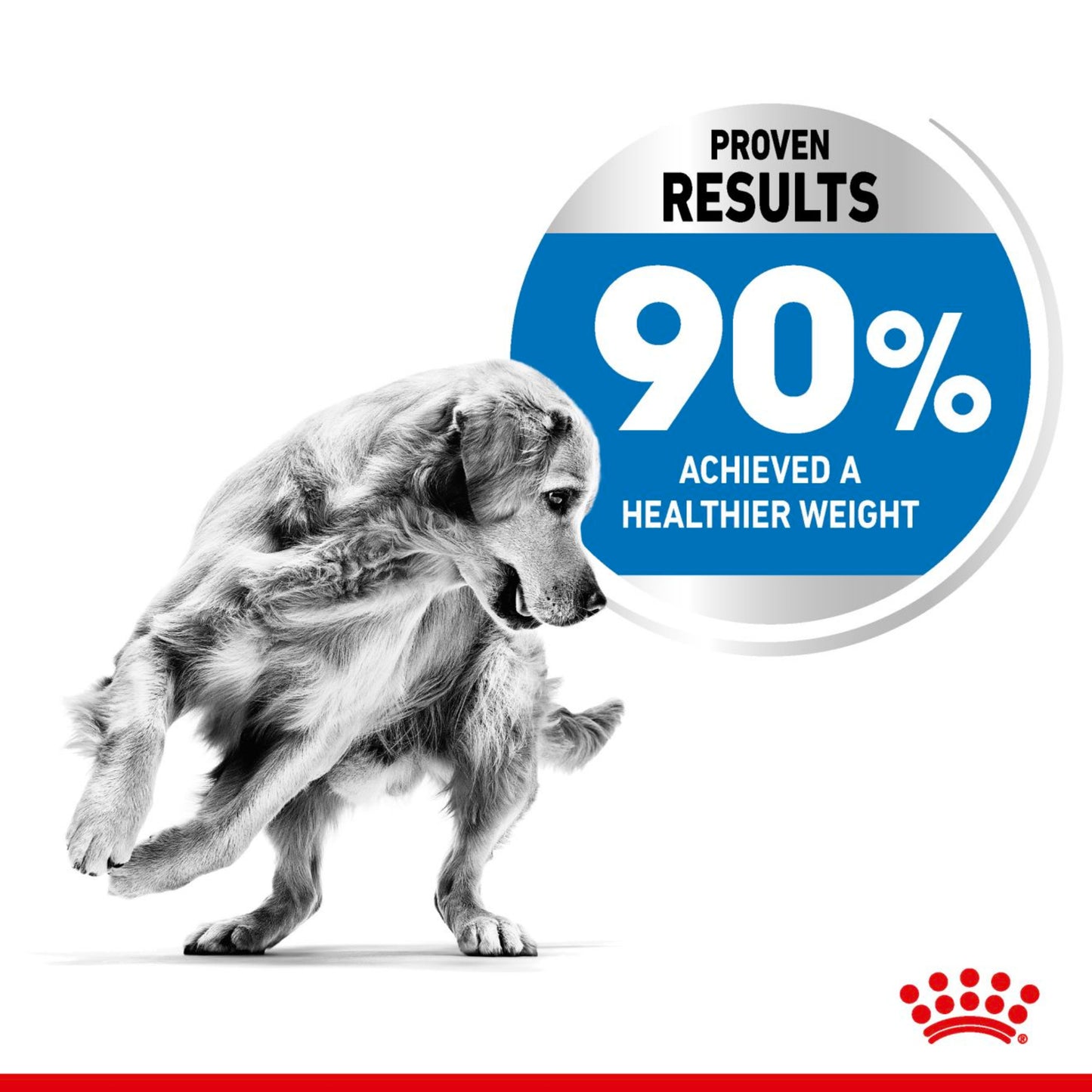Royal Canin Maxi Light Weight Care Large Breed Adult Dry Dog Food 12kg