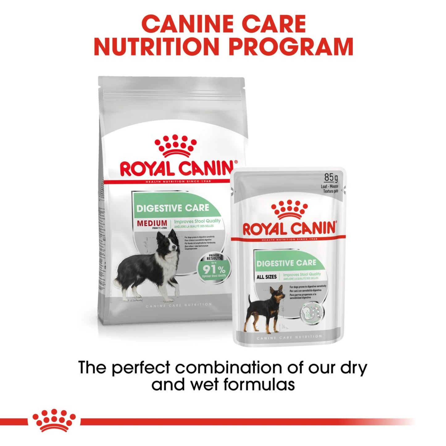 Royal Canin Digestive Care Medium Breed Adult Dry Dog Food 12kg