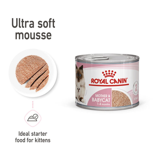 Royal Canin Mother & Babycat Wet Cat Food Mousse 12x195g