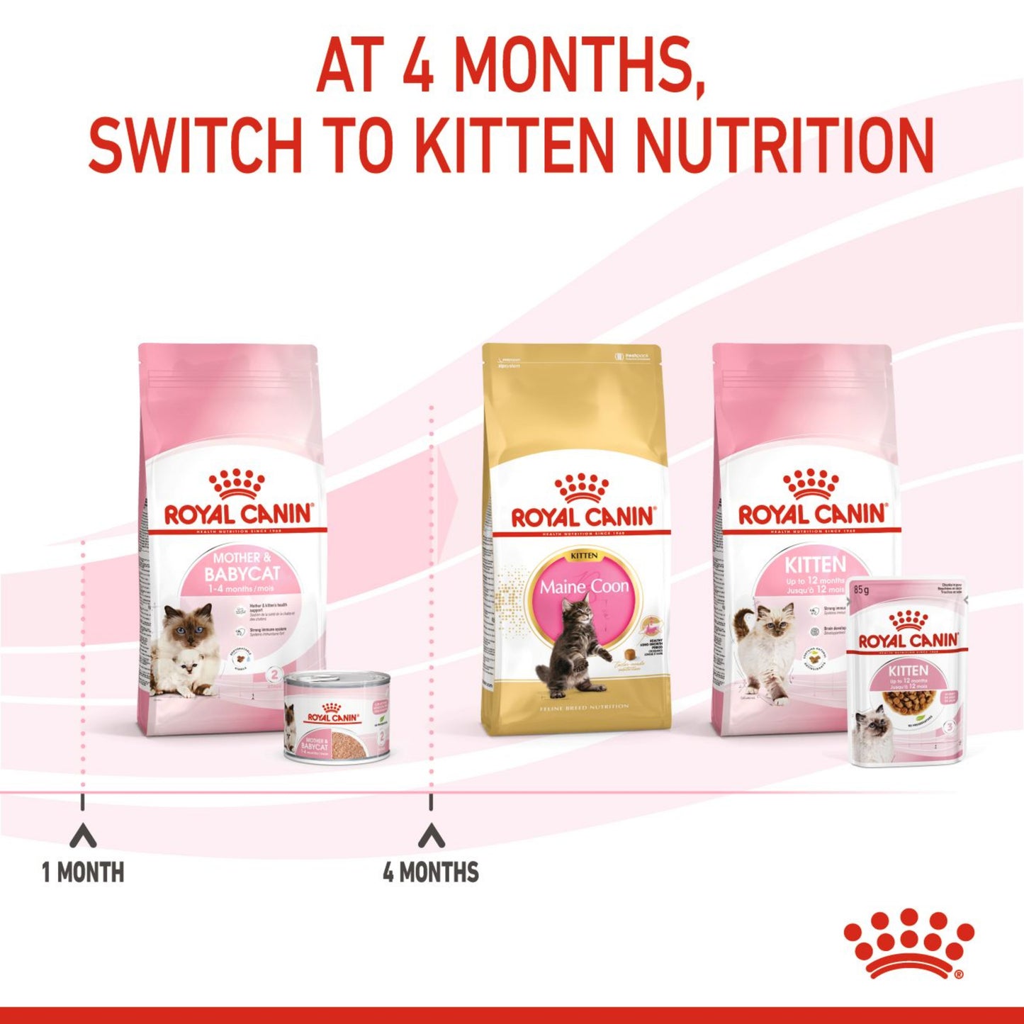 Royal Canin Mother & Babycat Wet Cat Food Mousse 12x195g