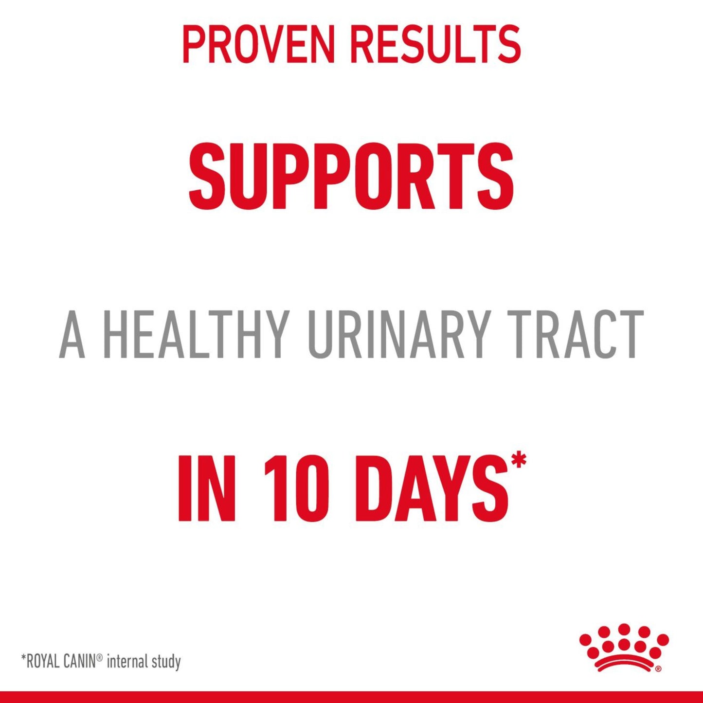 Royal Canin Urinary Care Wet Adult Cat Food In Gravy 48x85g