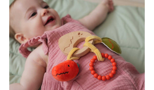 Little Big Friends Teether - Dino
