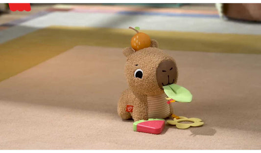 Fisher-Price Snuggly Snacky Capybara Plush Baby Sensory Toy