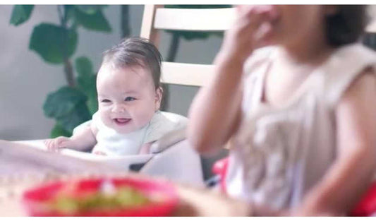 Ingenuity Baby Base 2-in-1 Seat - Slate