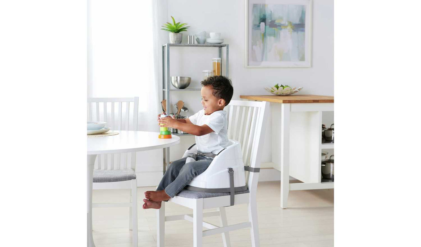 Ingenuity Baby Base 2-in-1 Seat - Slate