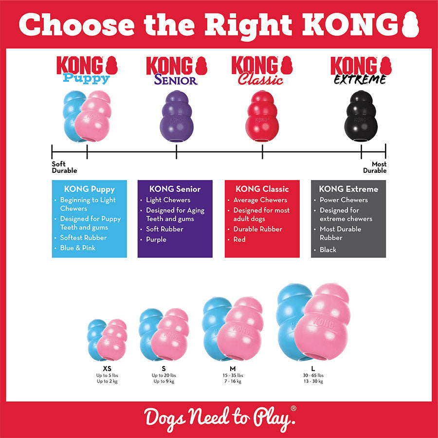 KONG Puppy Chew Treat Toy