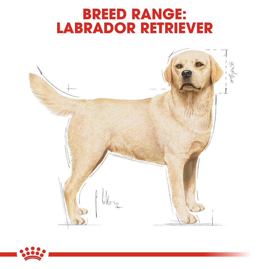 Royal Canin Labrador Retriever Adult Dry Dog Food 12kg