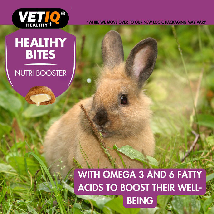 VetIQ Nutri Care Healthy Bites For Small Animals 30g