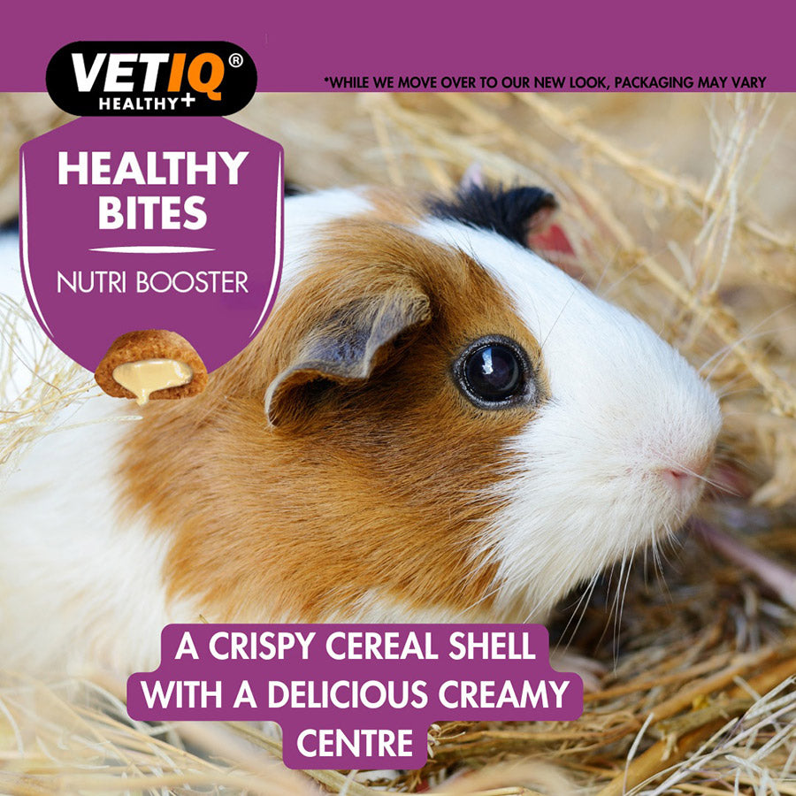 VetIQ Nutri Care Healthy Bites For Small Animals 30g