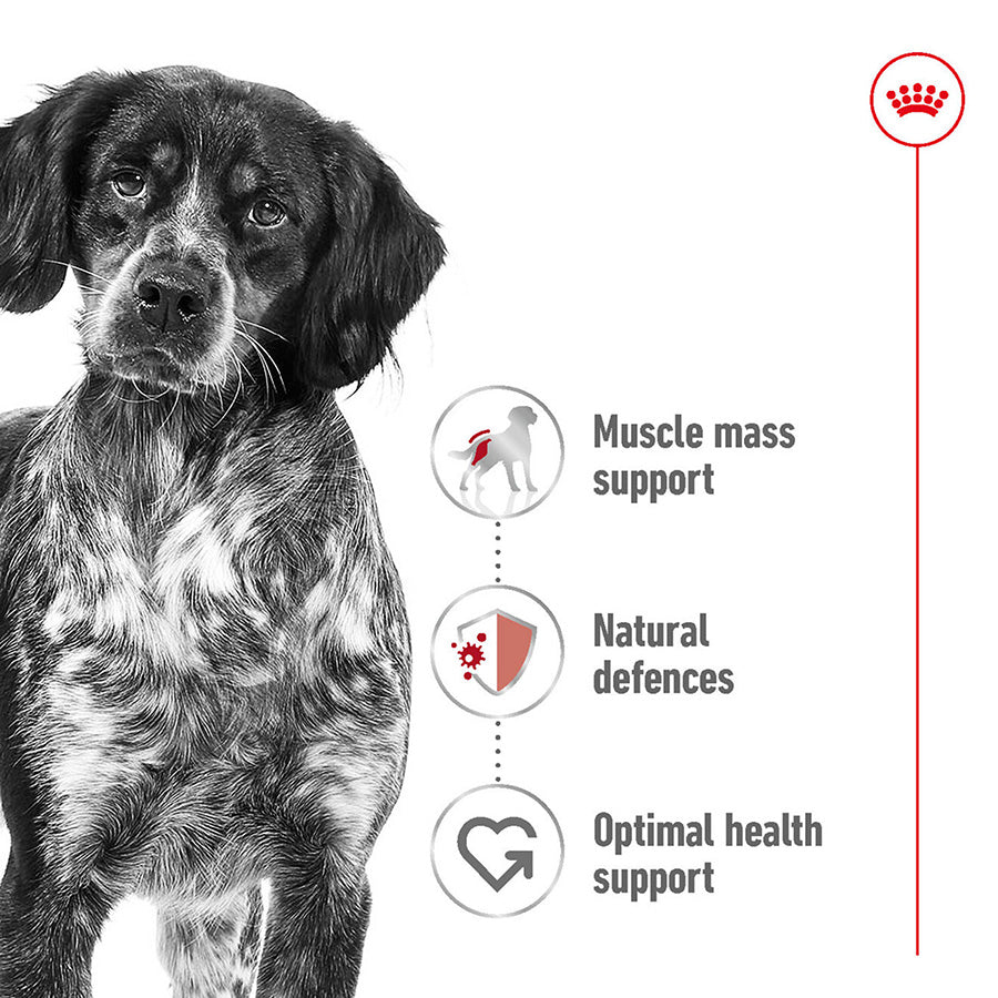 Royal Canin Medium Dry Adult Dog Food 15kg