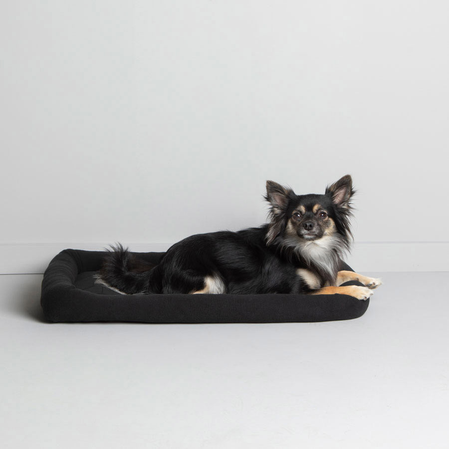 Pets at Home Basic Dog Crate Mattress Black