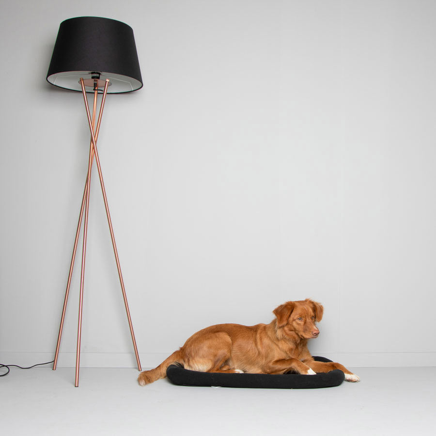 Pets at Home Basic Dog Crate Mattress Black